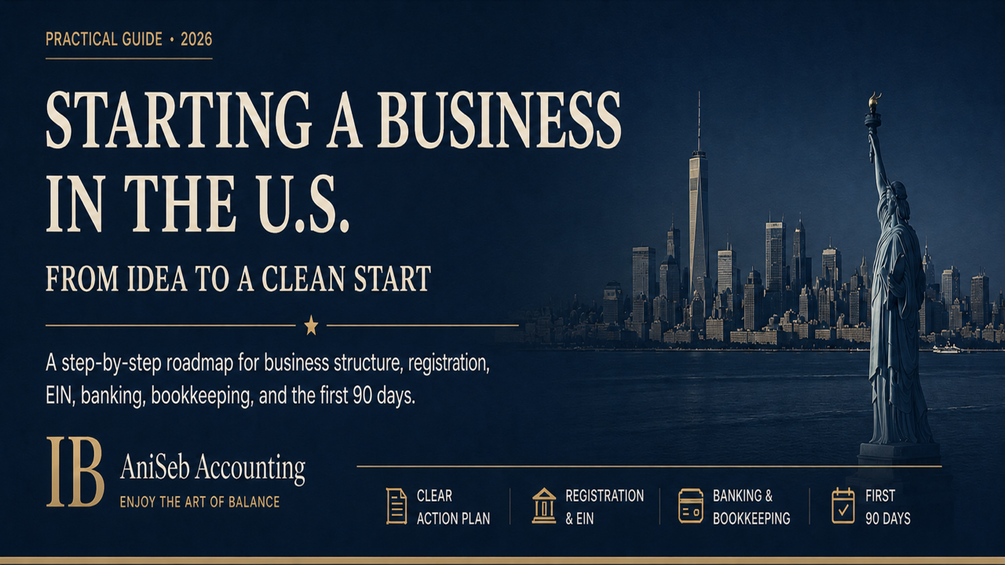 Launch a U.S. Company — AniSeb Accounting
